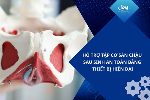 Hỗ trợ tập cơ sàn chậu sau sinh an toàn bằng thiết bị hiện đại